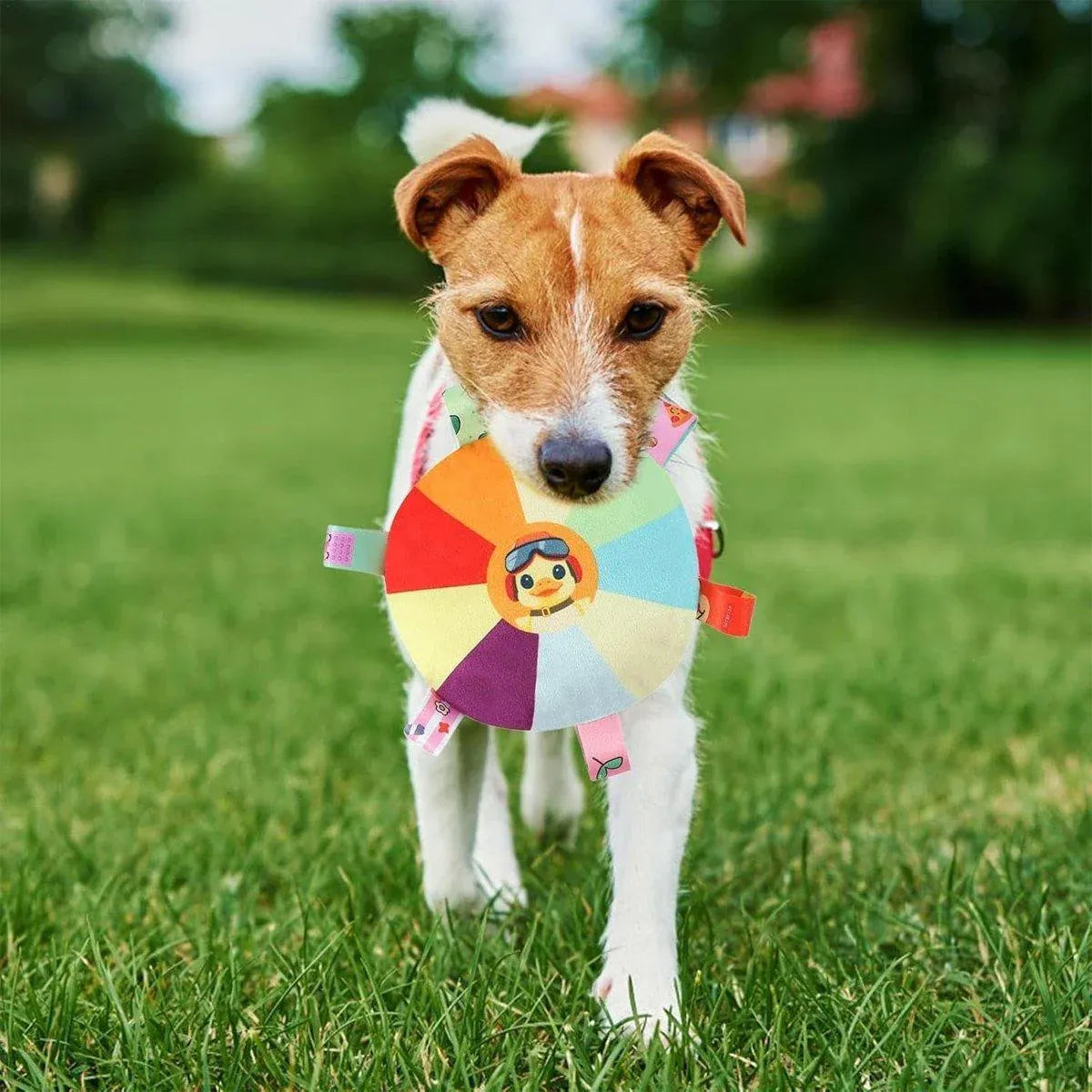 Plush Duck-Pattern Dog Fetch Disc with Bell - 16 cm