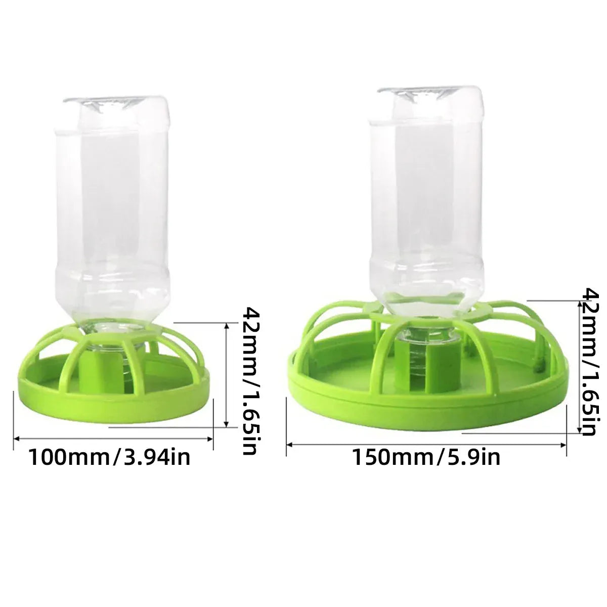 Reptile Gravity Water Bottle & Bowl - Green Lotus Leaf