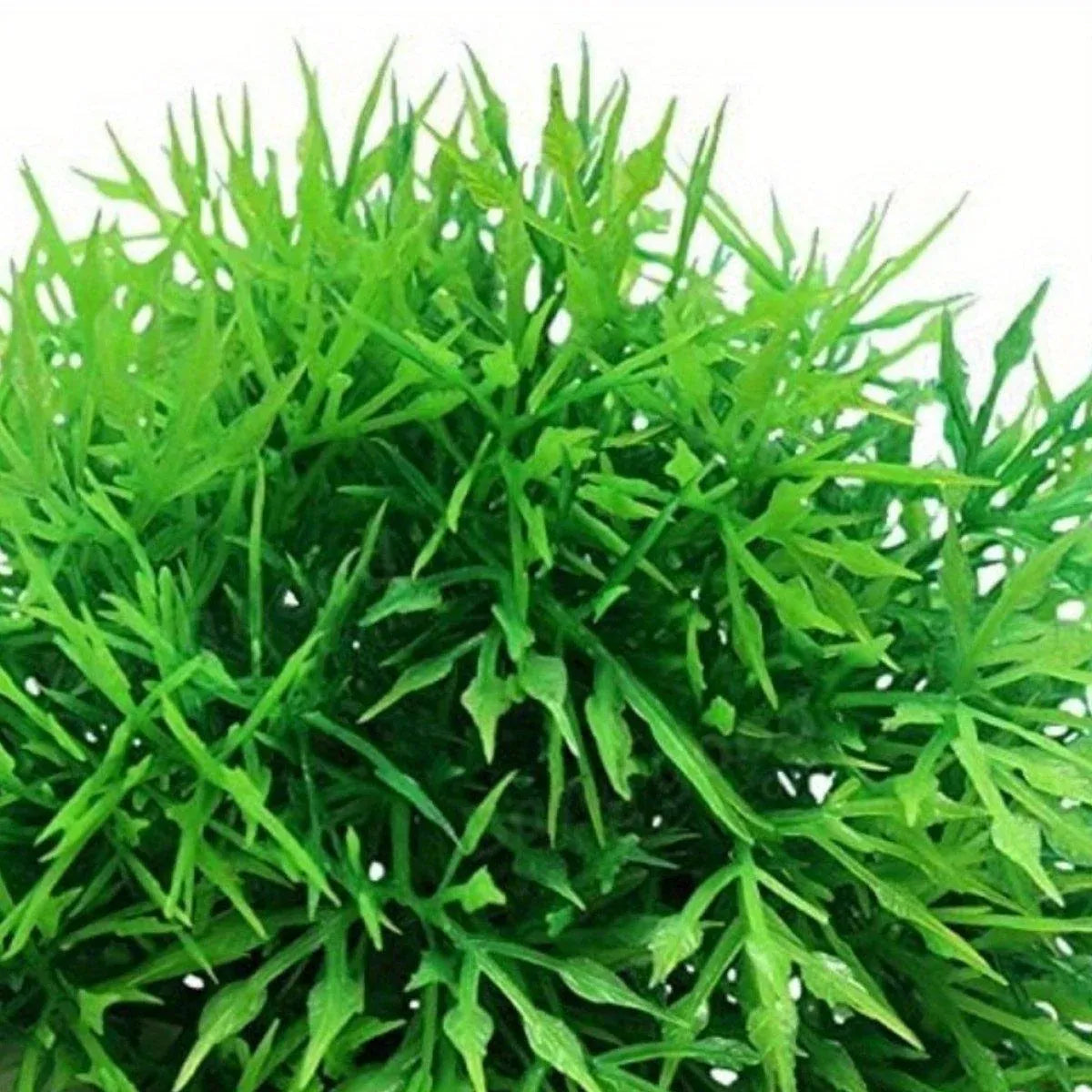 Green Artificial Aquarium Grass Balls - Large, 11.5 cm, 2-Pack