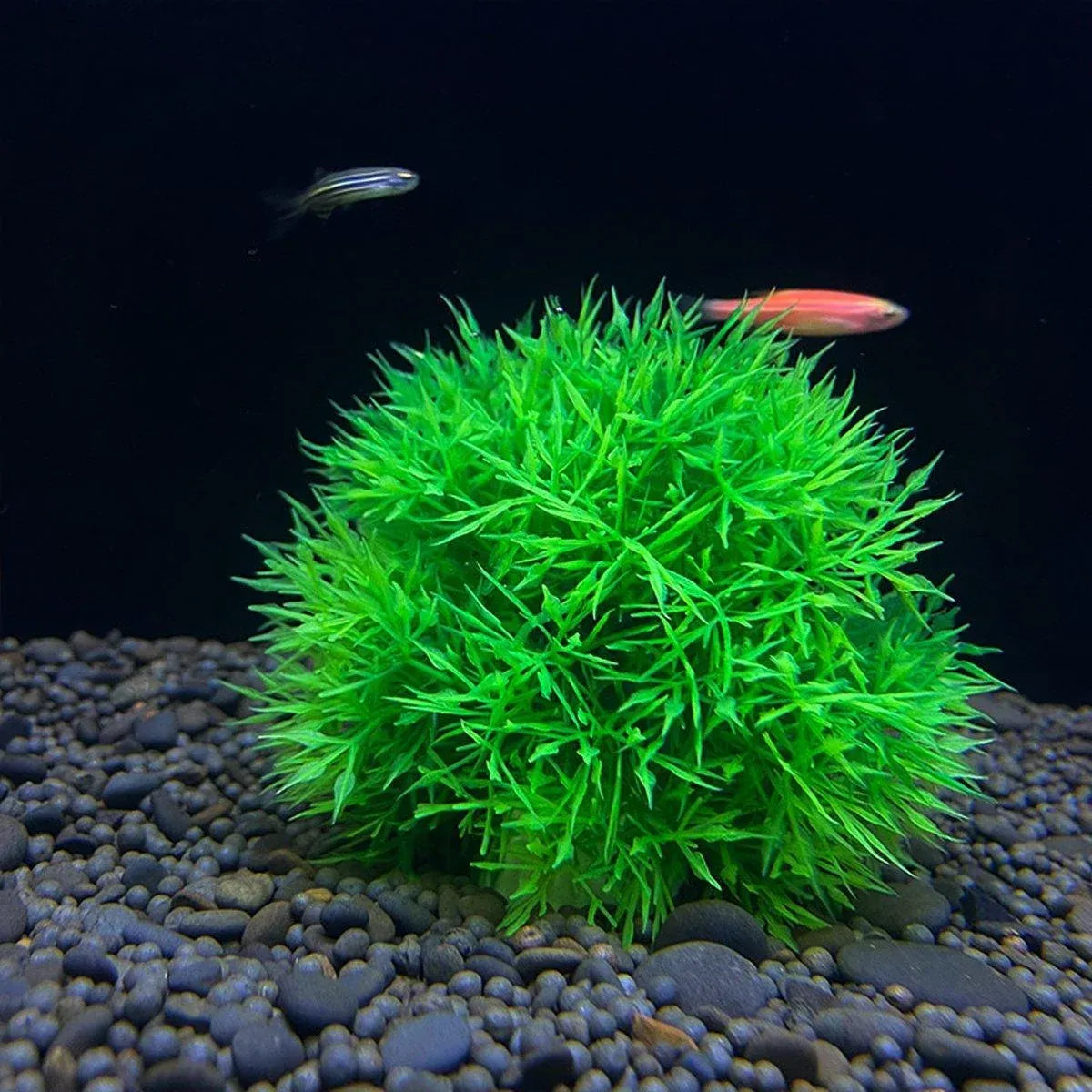 Green Artificial Aquarium Grass Balls - Large, 11.5 cm, 2-Pack