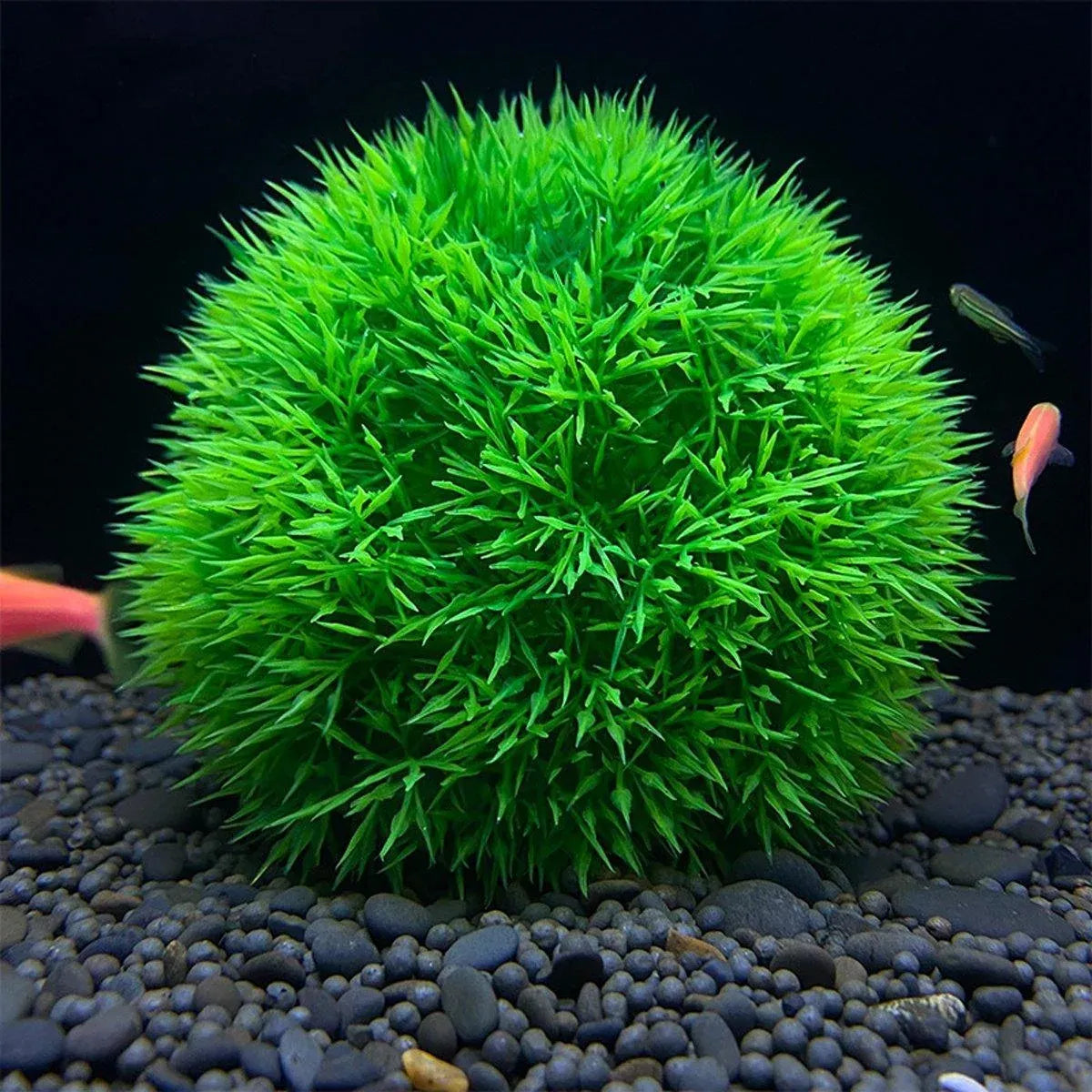 Green Artificial Aquarium Grass Balls - Large, 11.5 cm, 2-Pack