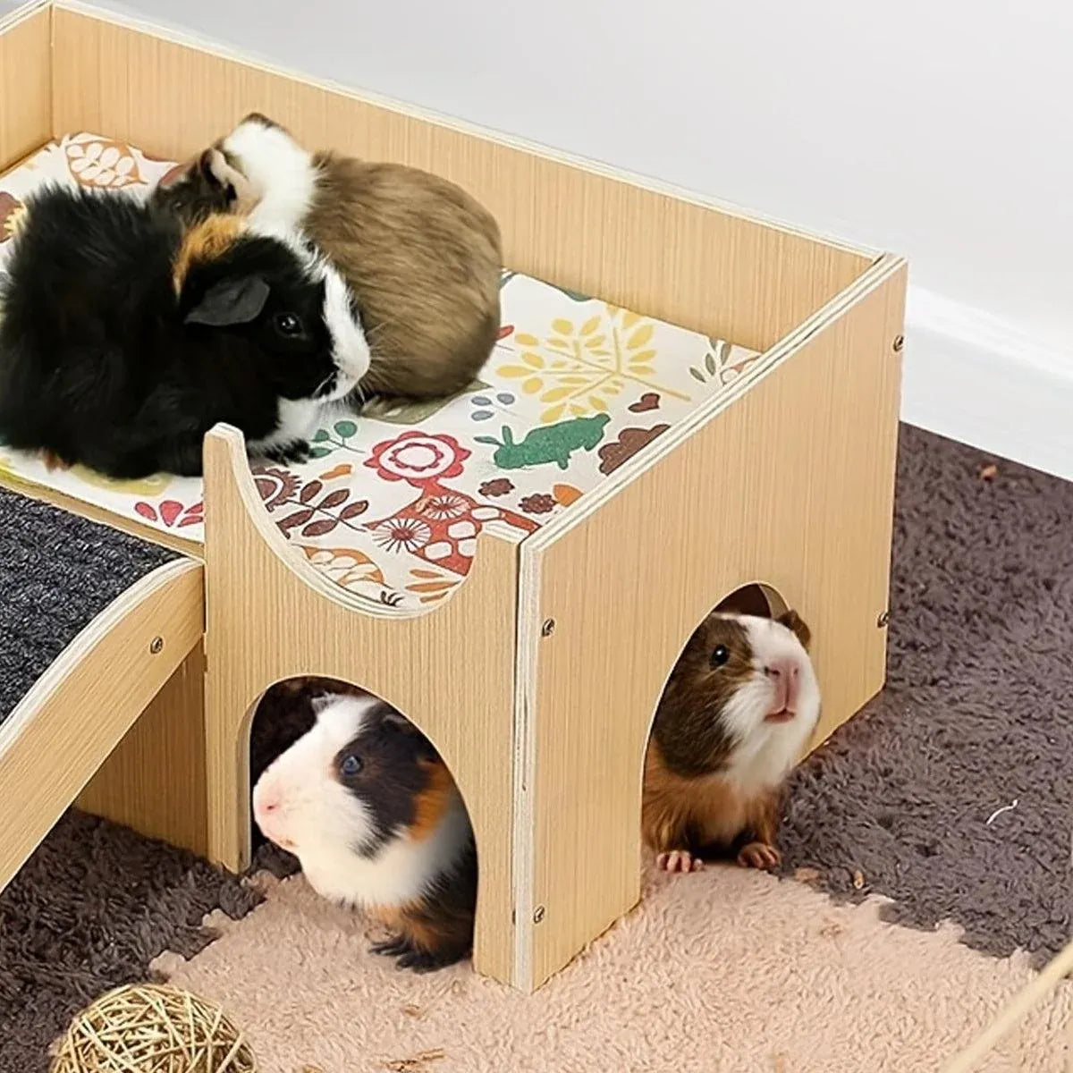 Natural-Finish Small Pet House with Ramp & Mats - Single
