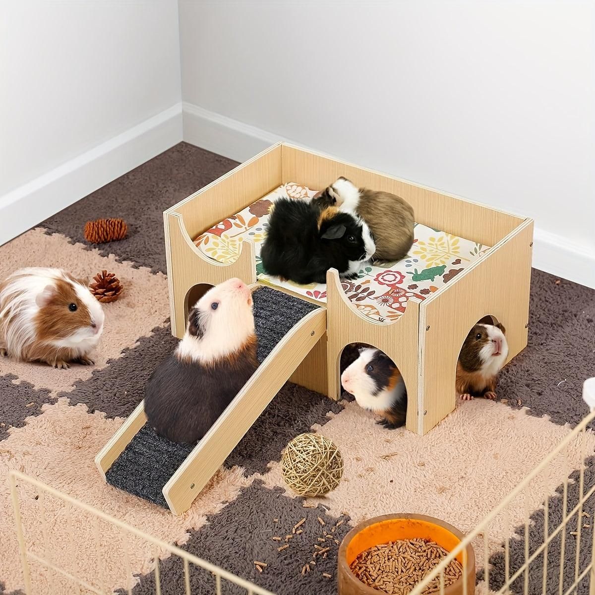 Natural-Finish Small Pet House with Ramp & Mats - Single
