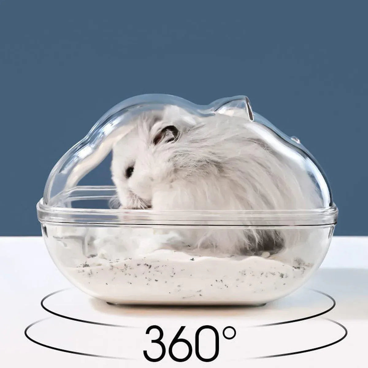 Clear Plastic Hamster Sand Bath & Toilet Container - Large, 16 × 11 × 11 cm