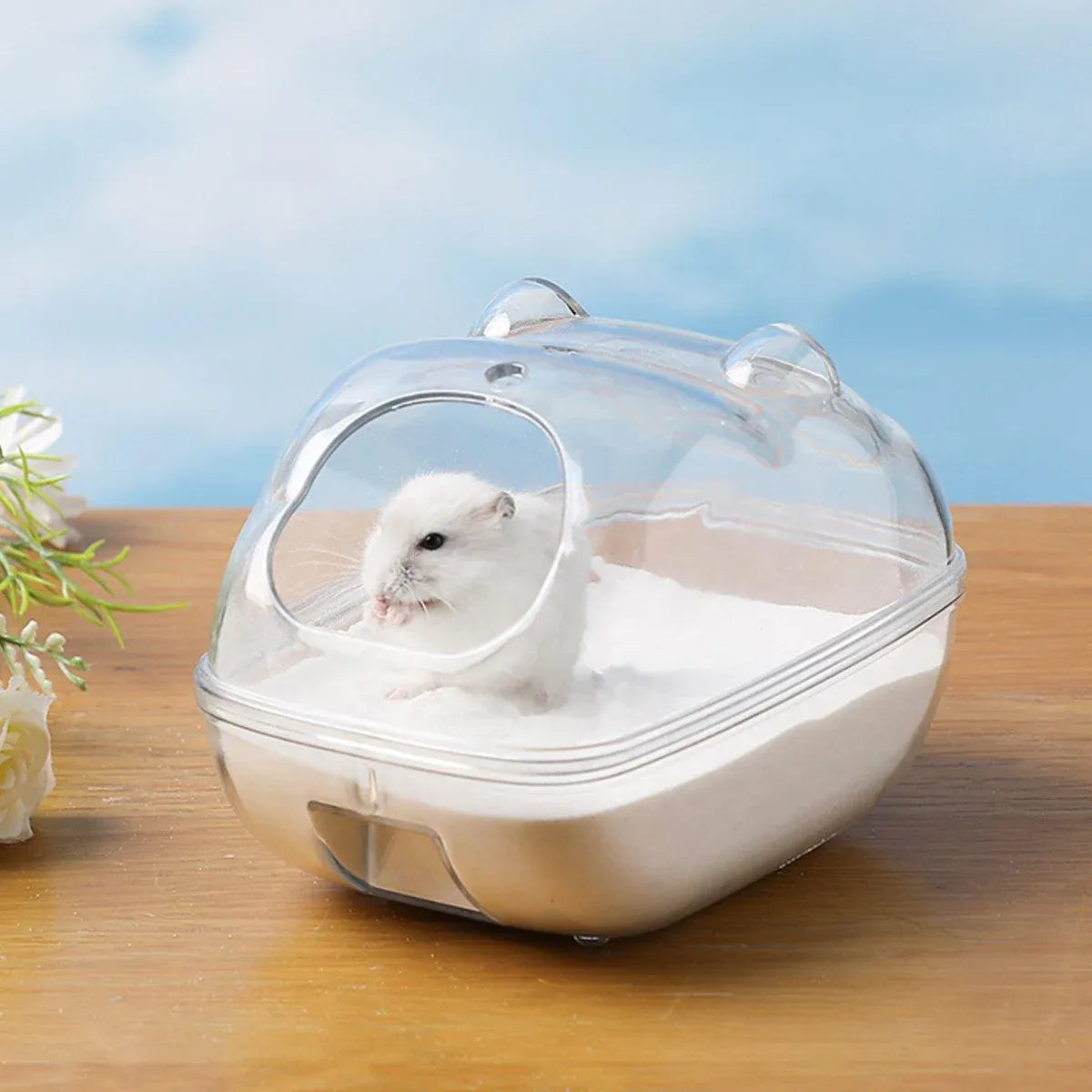 Clear Plastic Hamster Sand Bath & Toilet Container - Large, 16 × 11 × 11 cm