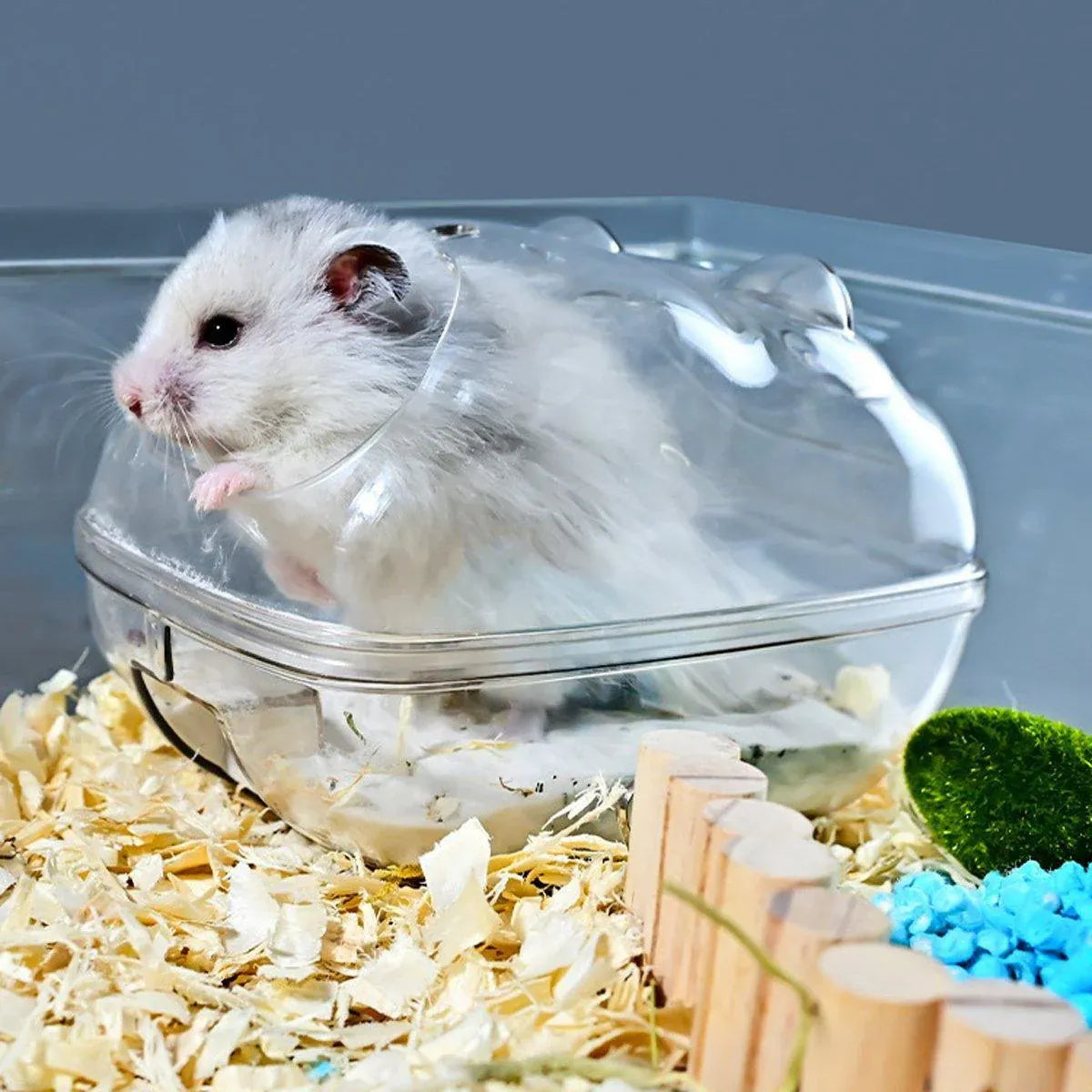 Clear Plastic Hamster Sand Bath & Toilet Container - Medium, 14.5 × 10 × 10 cm