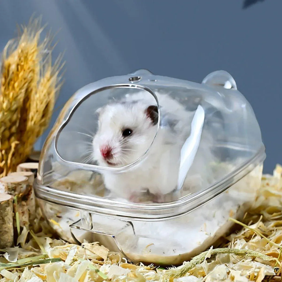 Clear Plastic Hamster Sand Bath & Toilet Container - Medium, 14.5 × 10 × 10 cm