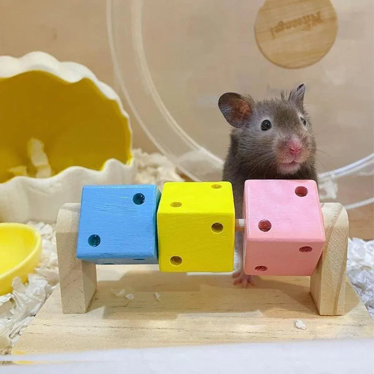 Rotating Wooden Hamster Activity Cube - 14 × 7 × 6 cm