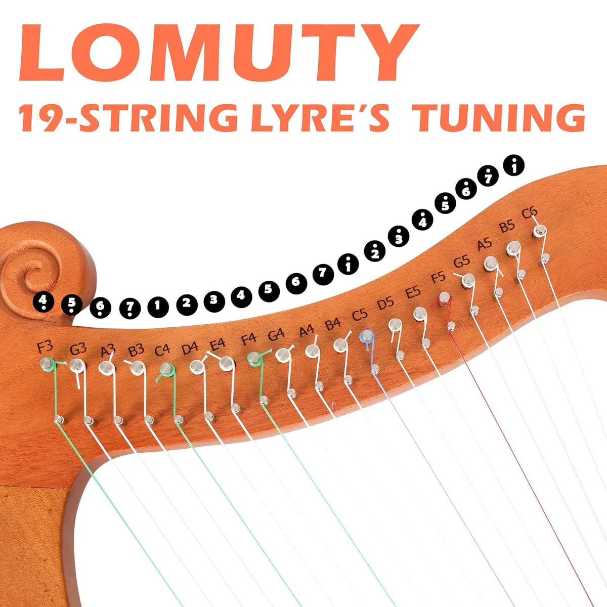 19 String Lyre Harp Professional Acoustic for Beginners Home Music Practice — product image 4
