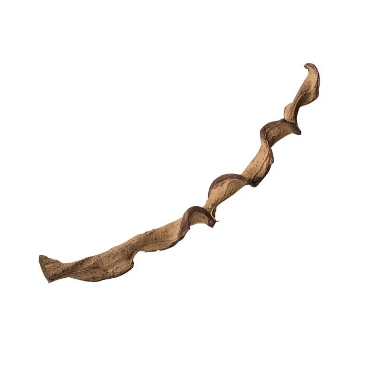 Flexible Reptile Terrarium Climbing Vine - Earth Tones, 60 cm