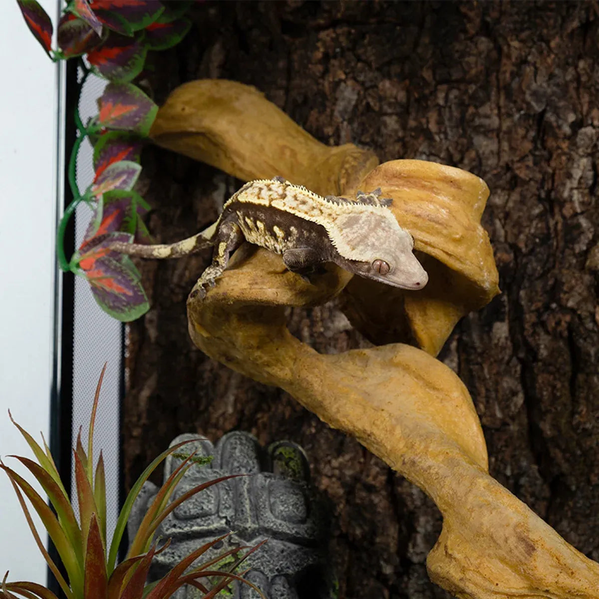 Flexible Reptile Terrarium Climbing Vine - Earth Tones, 60 cm