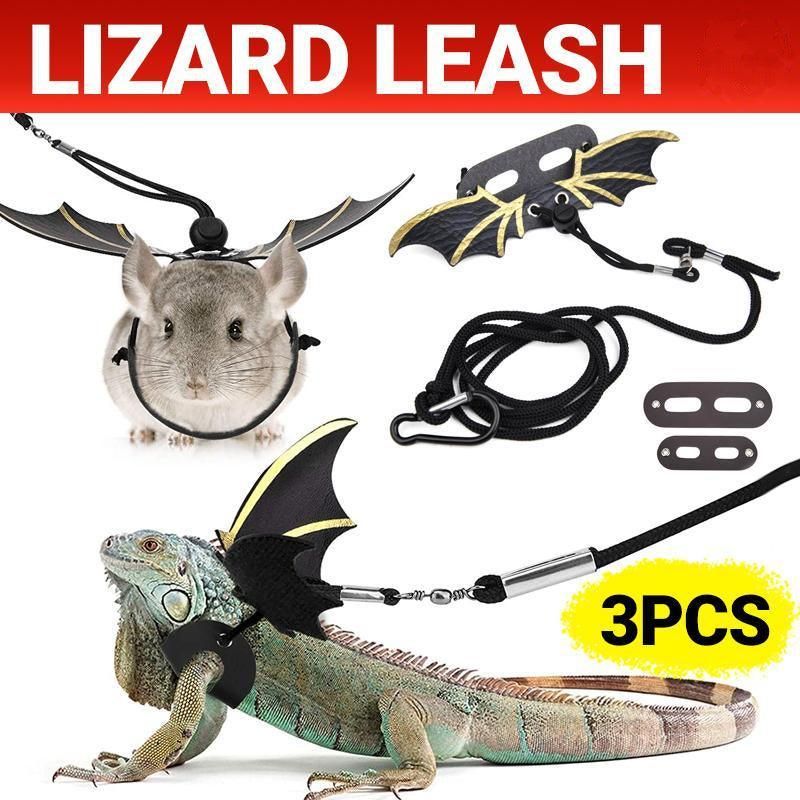 Bat-Wing Adjustable Reptile Harness & Lead Set - Three Strap Sizes
