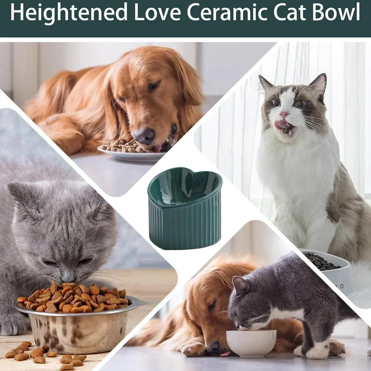 Heart-Shaped Slanted Ceramic Cat Food Bowl - Green - product photo 5 of 14