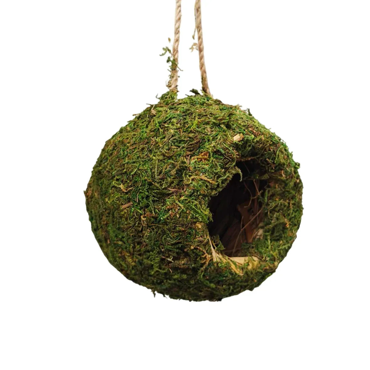 12 cm Hanging Moss-Look Terrarium Hide for Small Reptiles & Amphibians – product image 2 of 13