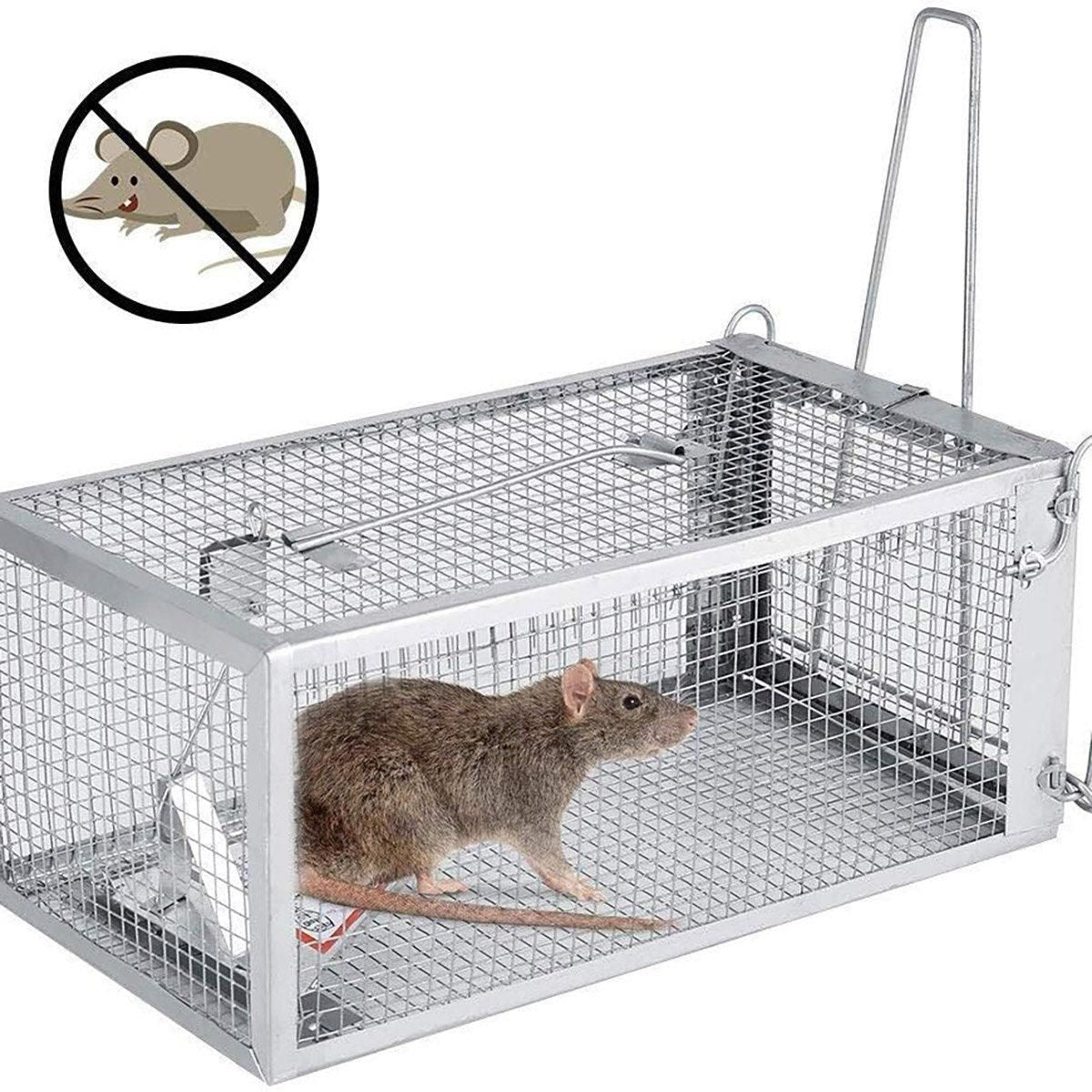 Live-Capture Metal Rodent Trap Cage, Single Door, 27 × 14 × 12 cm