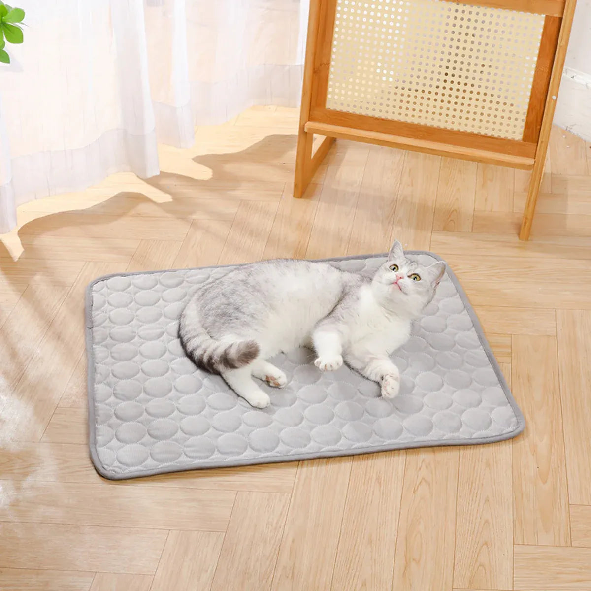 Breathable Grey Pet Sleeping & Cooling Mat - Small, 50 × 40 cm