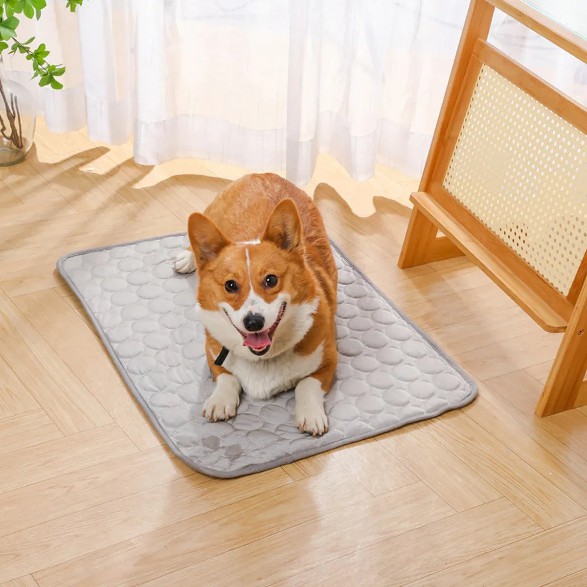 Breathable Grey Pet Sleeping & Cooling Mat - Small, 50 × 40 cm