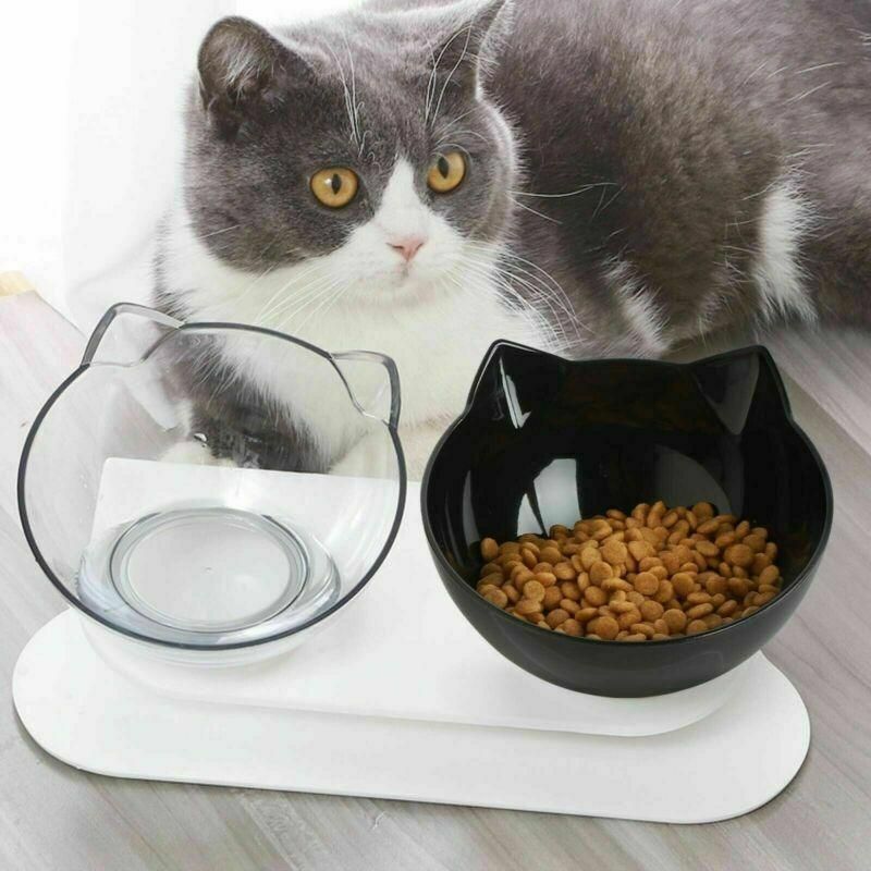Elevated Double Pet Feeding Bowls - Black & Clear