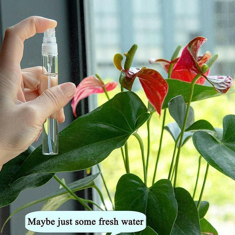 10Pcs Glass Perfume Bottles - 3/5/10ml with Atomizer Pump Spray - 10ML 10PCS