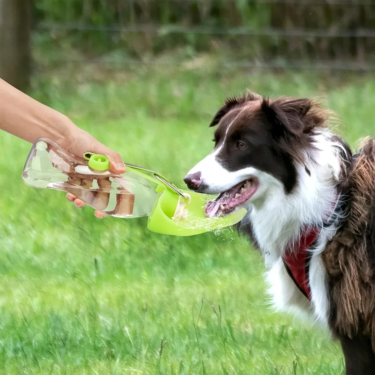 Portable Dog & Cat Drinking Water Bottle - 580mL, Green
