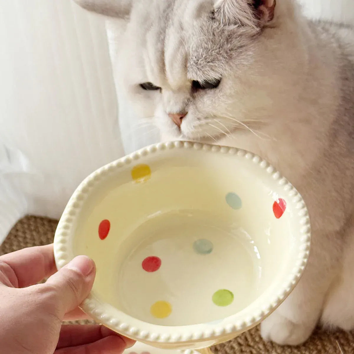 Raised Ceramic Pet Feeding Bowl with Wooden Stand – Beige, 450 mL