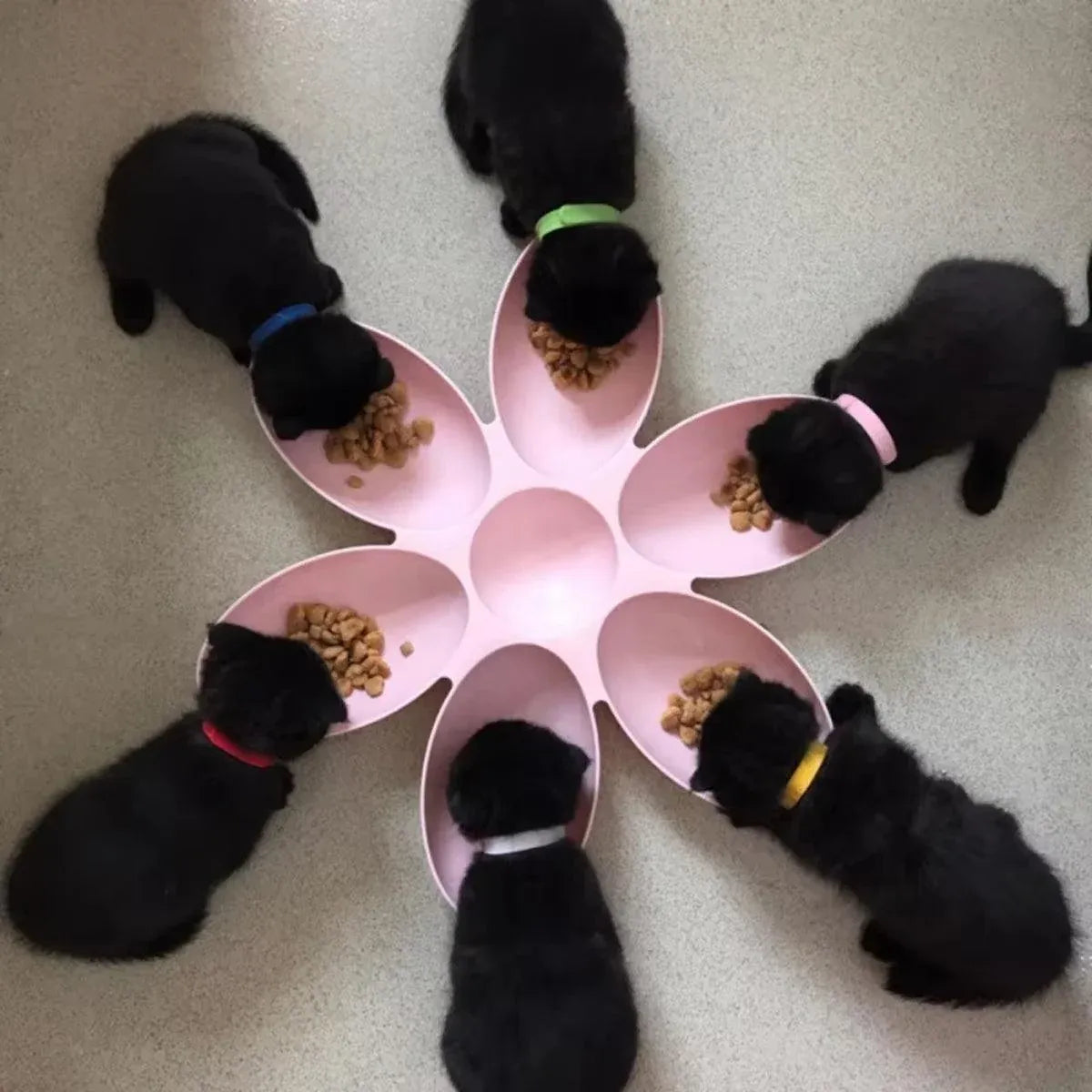 Petal-Shaped Seven-Section Multi-Pet Feeding Bowl - Green, 42 cm