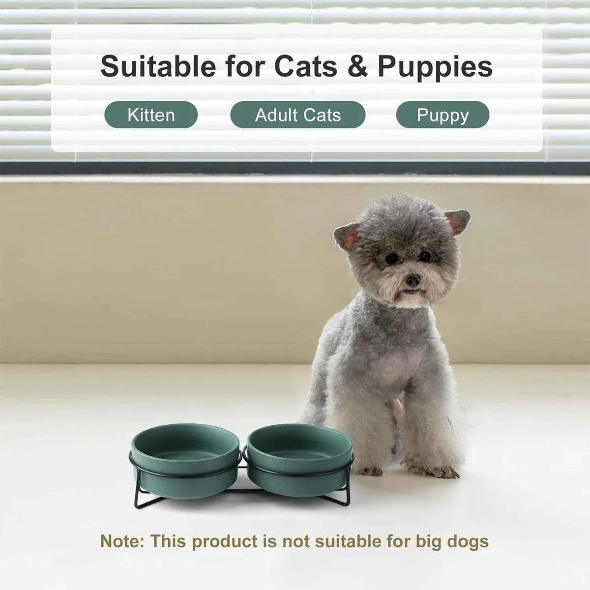 Elevated Ceramic Double Pet Bowl Set with Metal Stand - Green, 2 × 400 mL