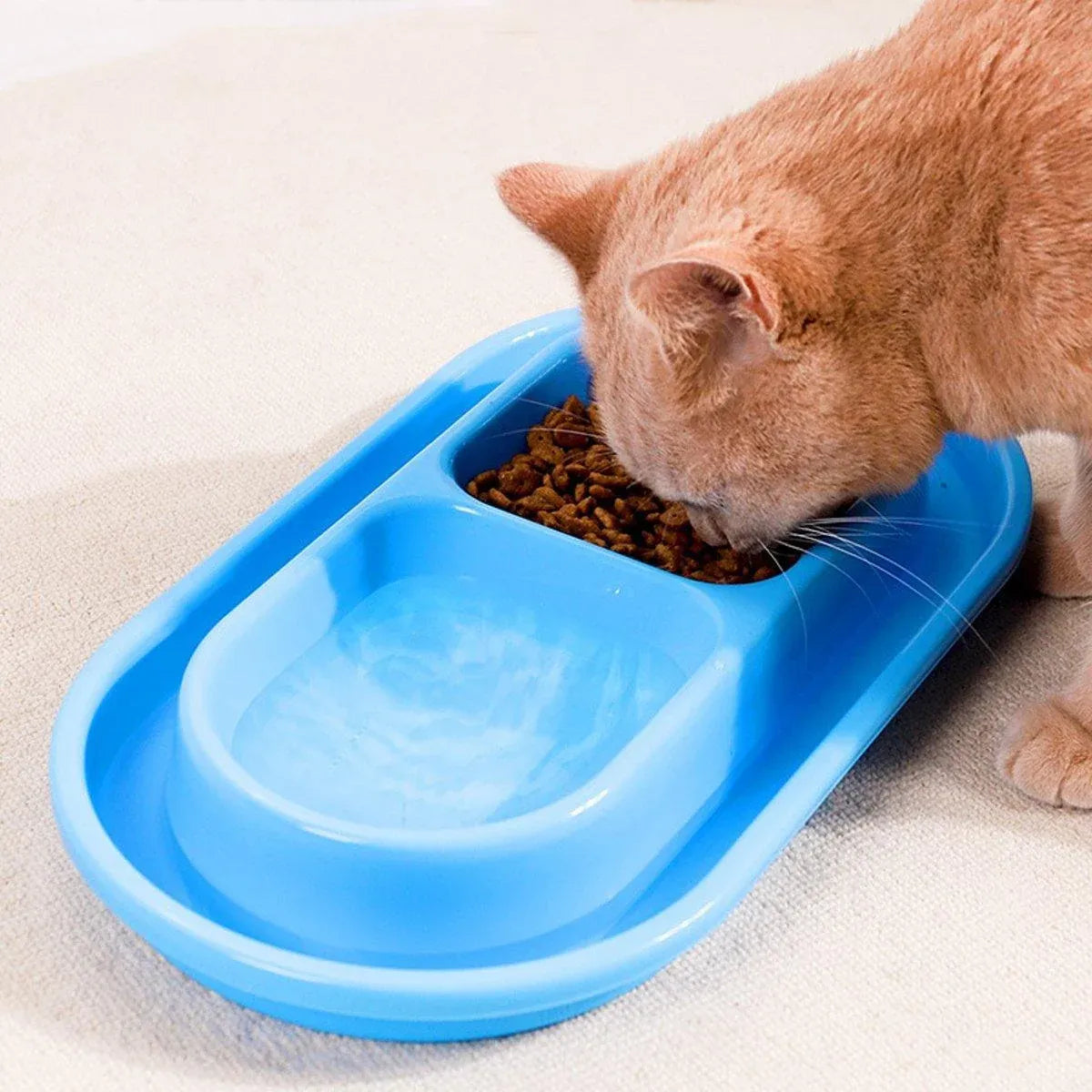 Double-Compartment Cat & Dog Feeding Bowl - Blue, 37 × 20 cm