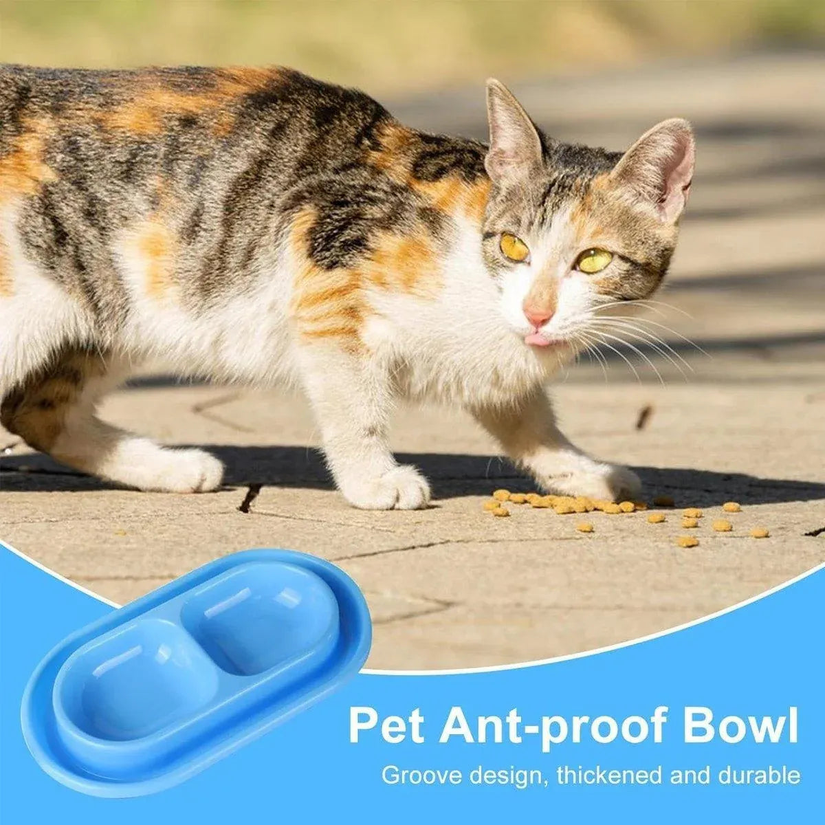 Double-Compartment Cat & Dog Feeding Bowl - Blue, 37 × 20 cm