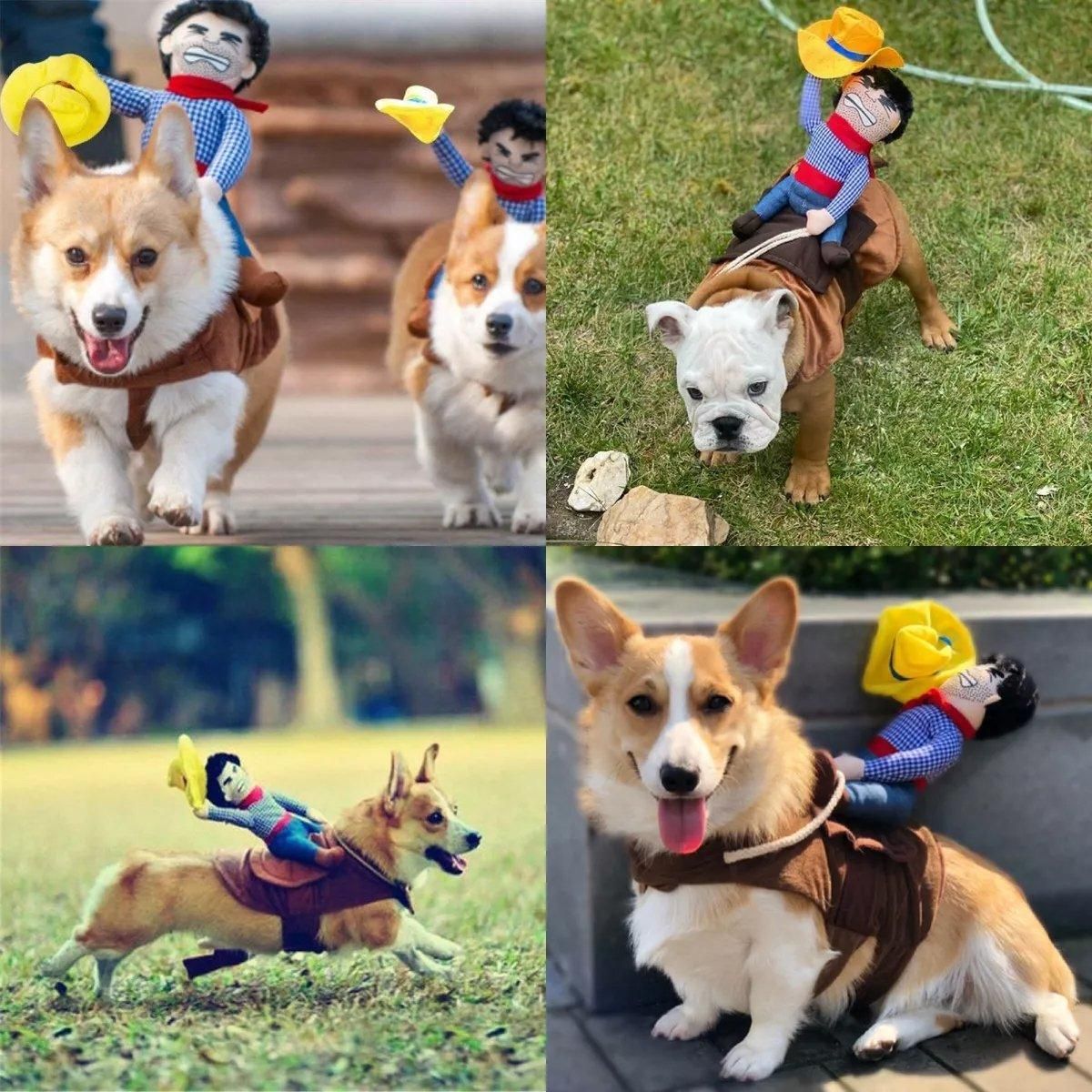 Halloween Hat-Style Dog Costume - L – product image 8 of 14