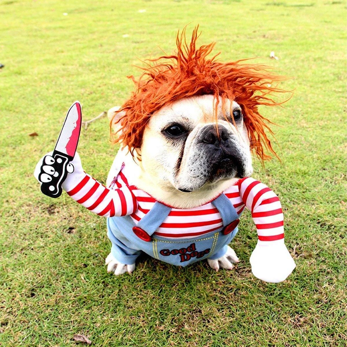 Halloween Hat-Style Dog Costume - L – product image 9 of 14