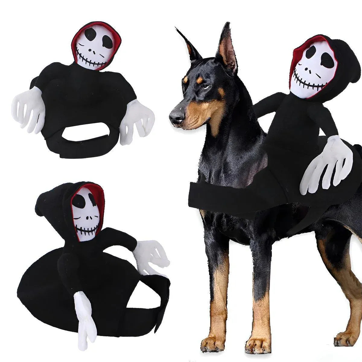 Halloween Hat-Style Dog Costume - L – product image 11 of 14