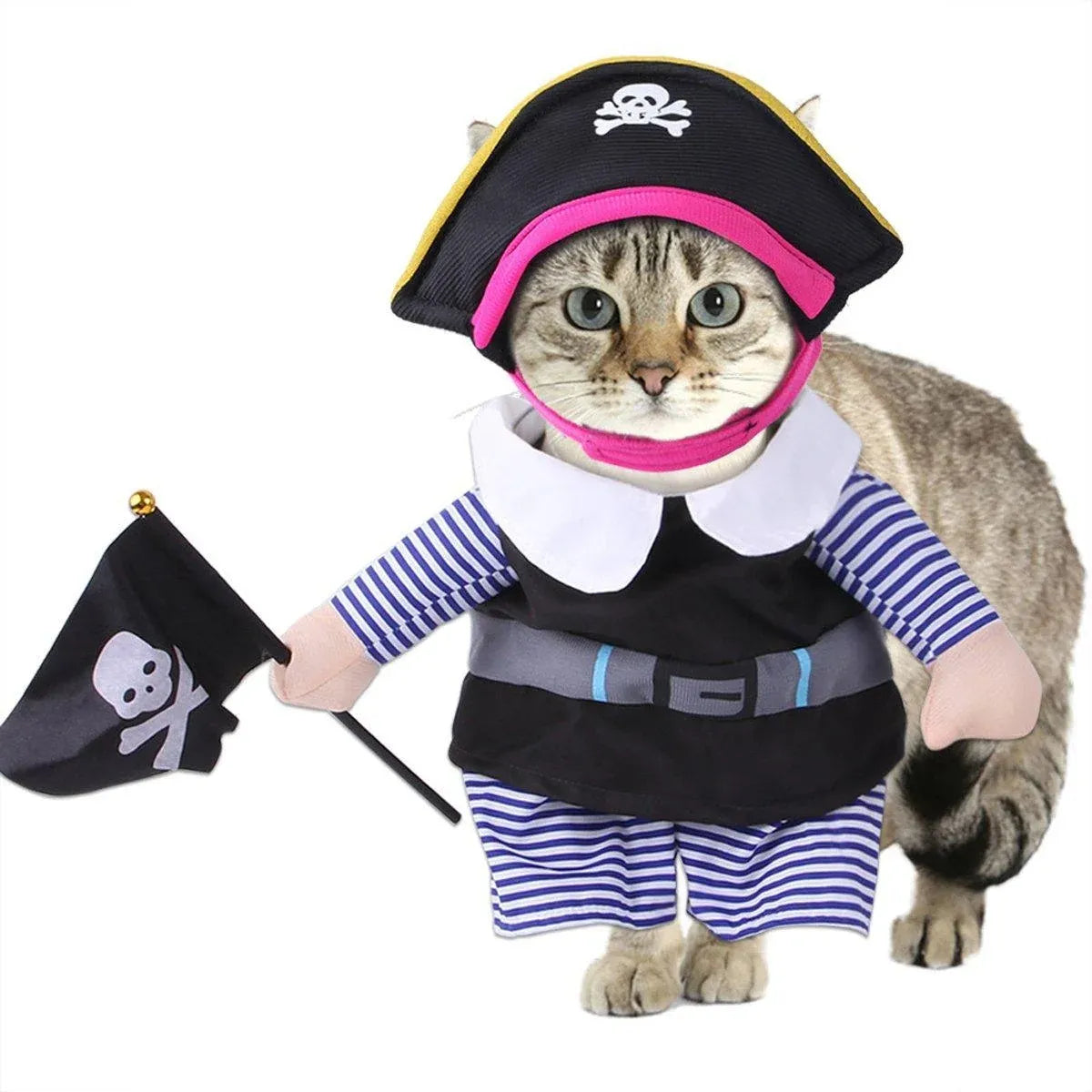 Halloween Hat-Style Dog Costume - L – product image 14 of 14