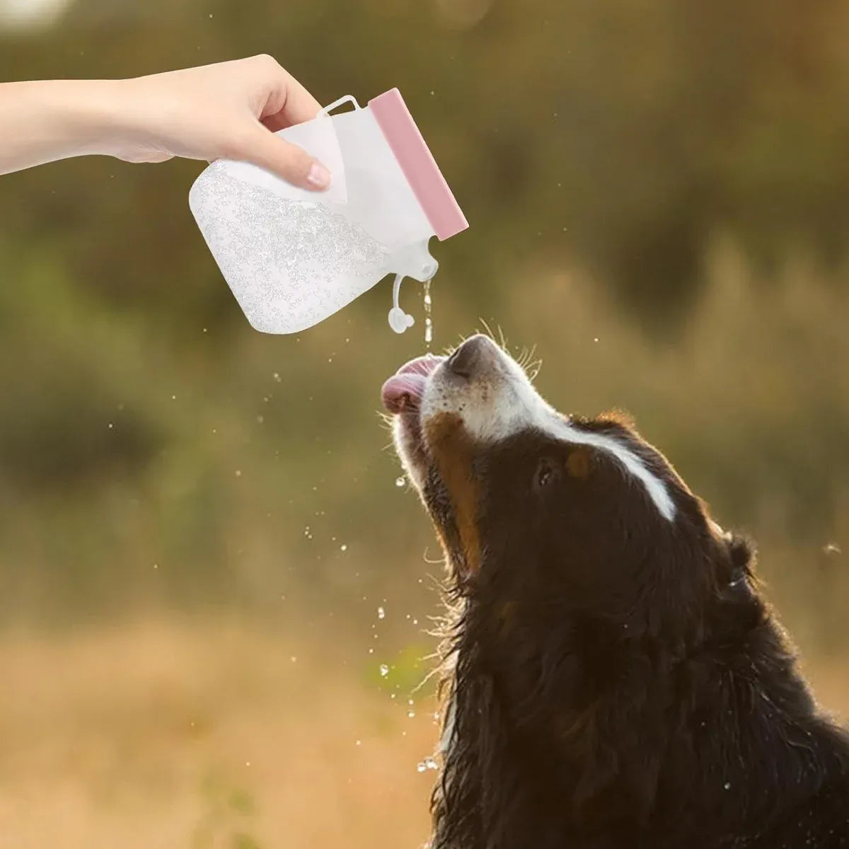 Portable Silicone Pet Water Bottle - Pink, 320 mL