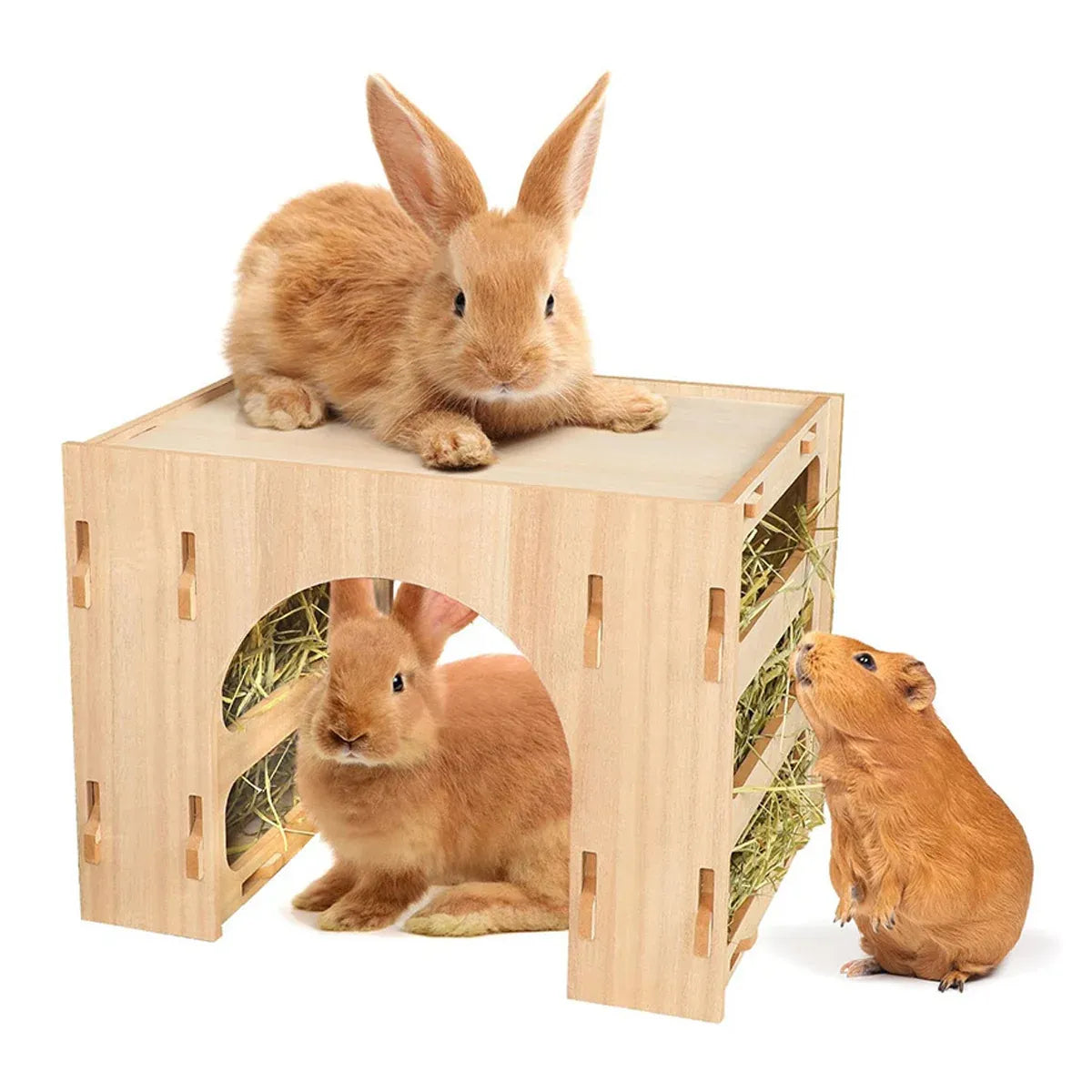 Three-in-One Small Pet Wooden Hay Feeder & Hideaway