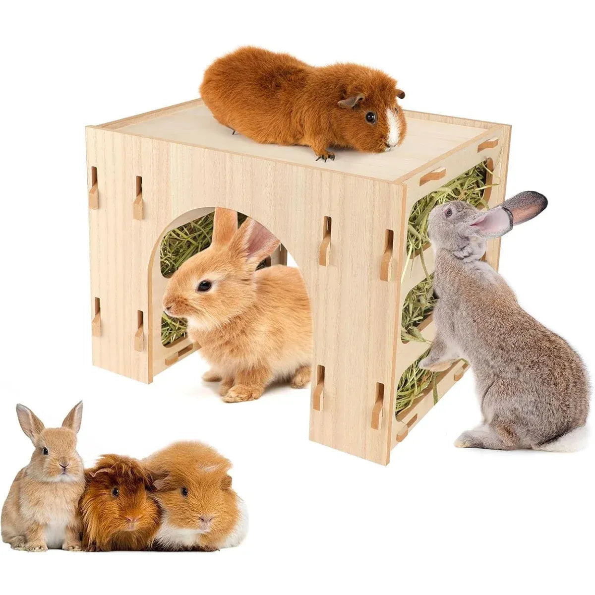 Three-in-One Small Pet Wooden Hay Feeder & Hideaway
