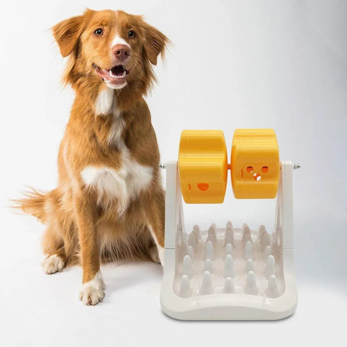 Dual-Roller Dog Treat Dispensing Activity Toy - Orange, 31.5 cm