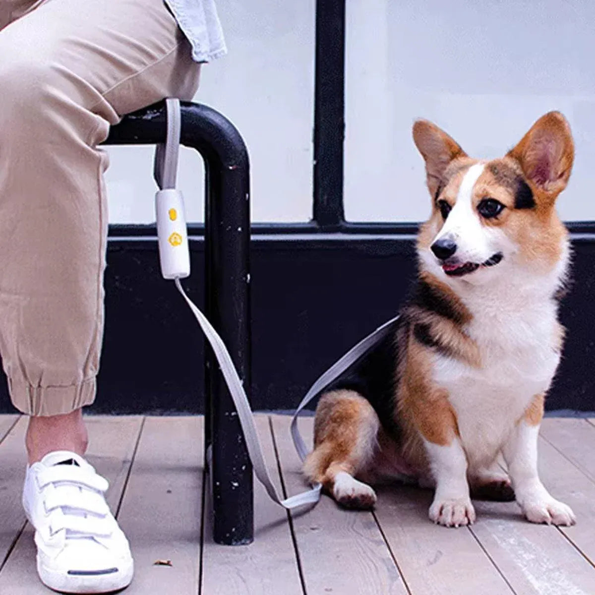 Reflective Nylon Dog Lead with Quick-Release Handle – White, 0.95–1.6 m