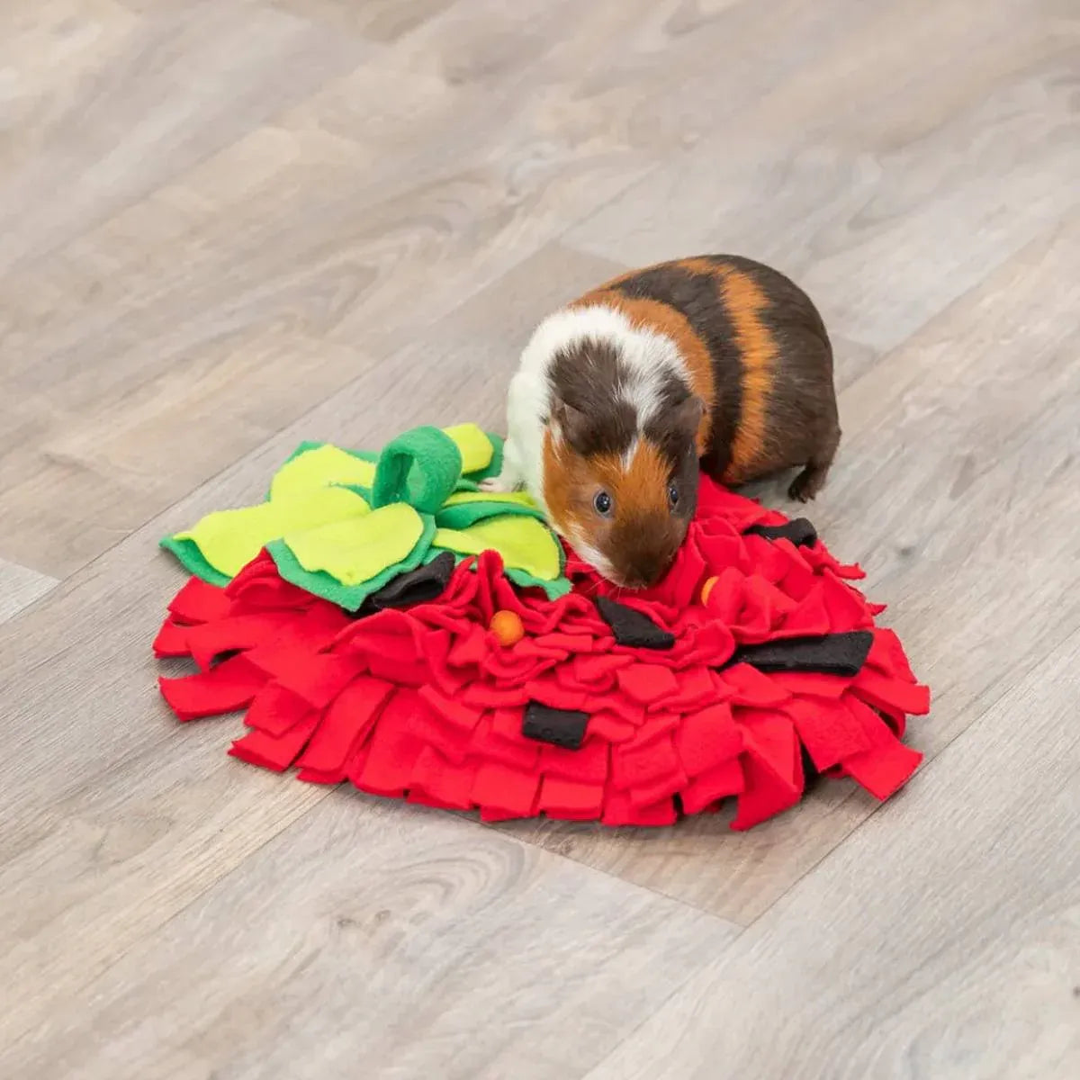 Strawberry-Shaped Pet Snuffle & Treat-Search Mat - 45 × 35 cm