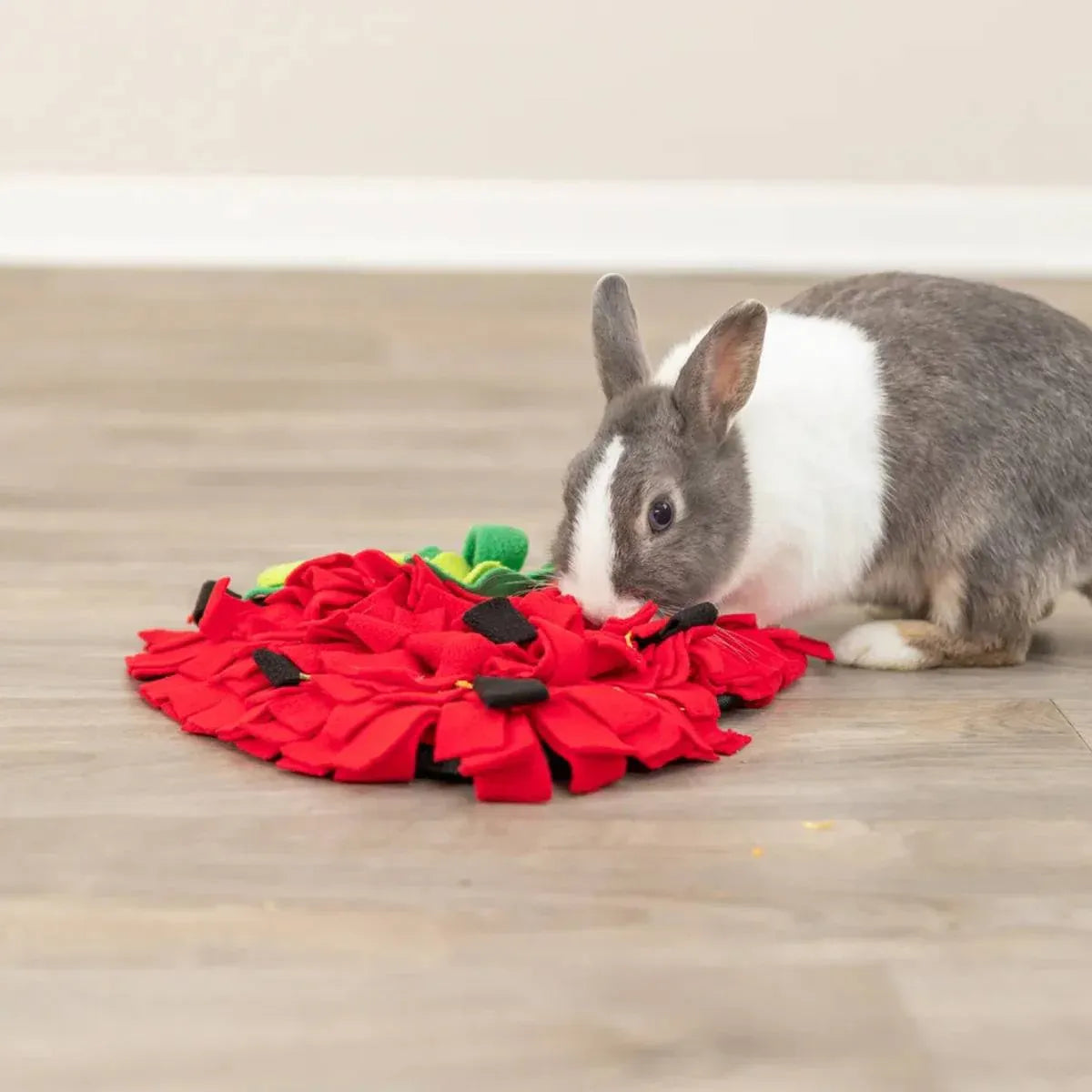 Strawberry-Shaped Pet Snuffle & Treat-Search Mat - 45 × 35 cm