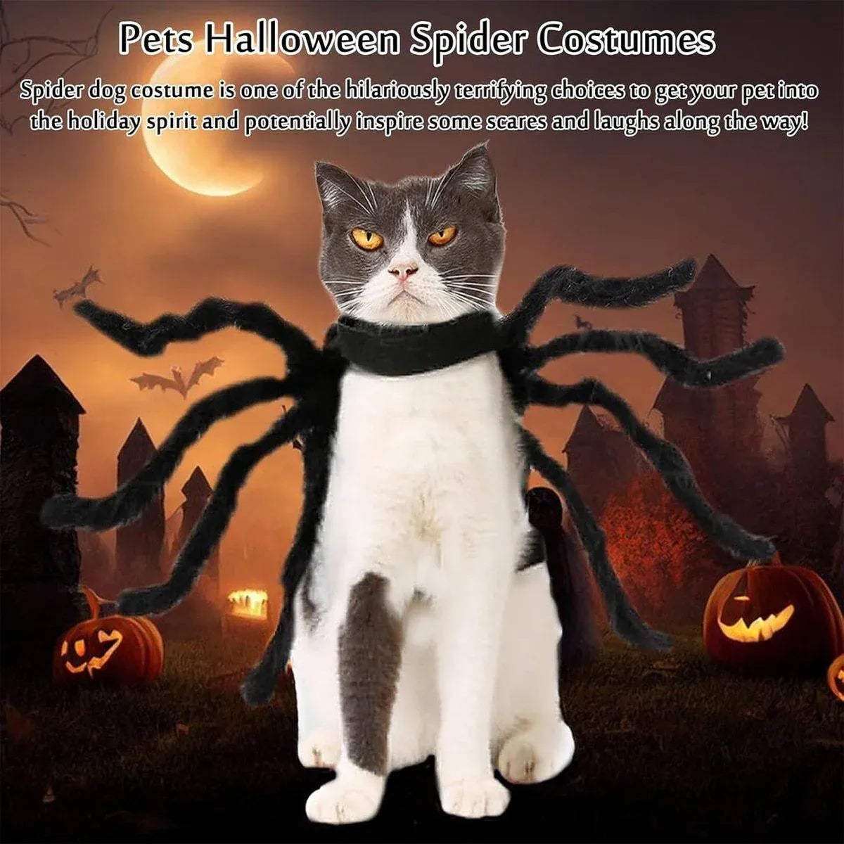 Spider Halloween Pet Costume - L – supplier product photograph 5 of 14