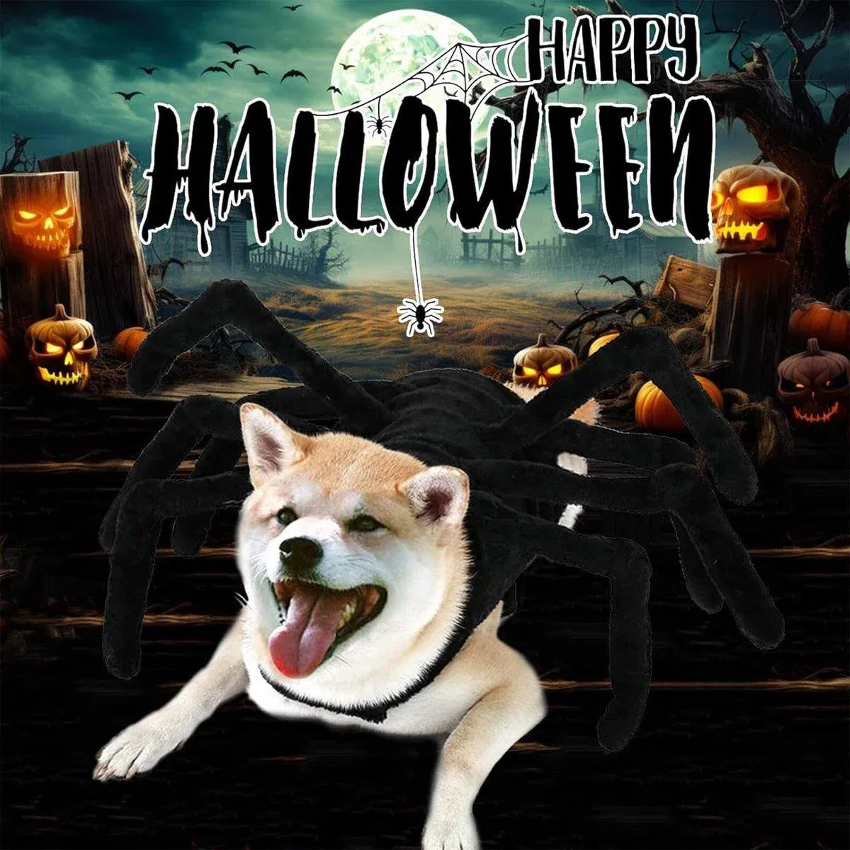Spider Halloween Pet Costume - L – supplier product photograph 10 of 14