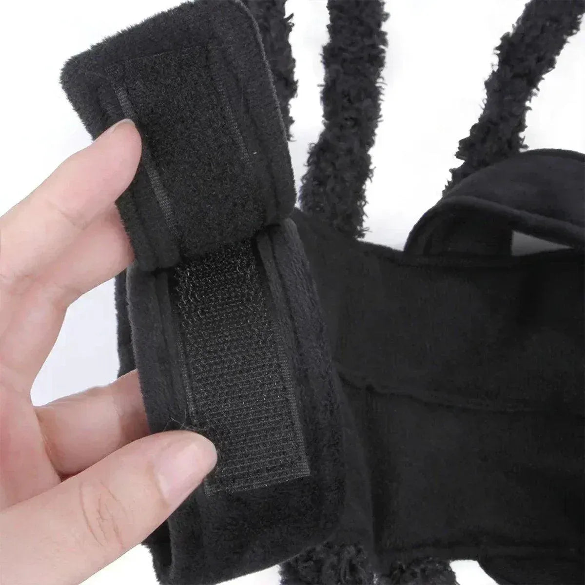 Spider Halloween Pet Costume - L – supplier product photograph 11 of 14