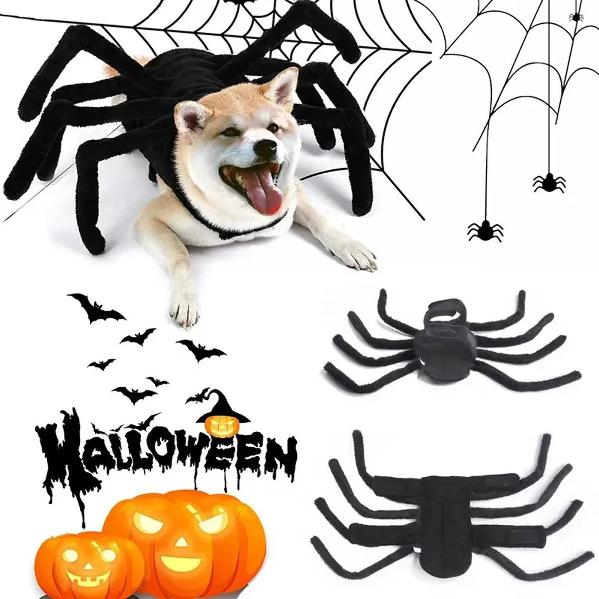 Spider Halloween Pet Costume - L – supplier product photograph 12 of 14
