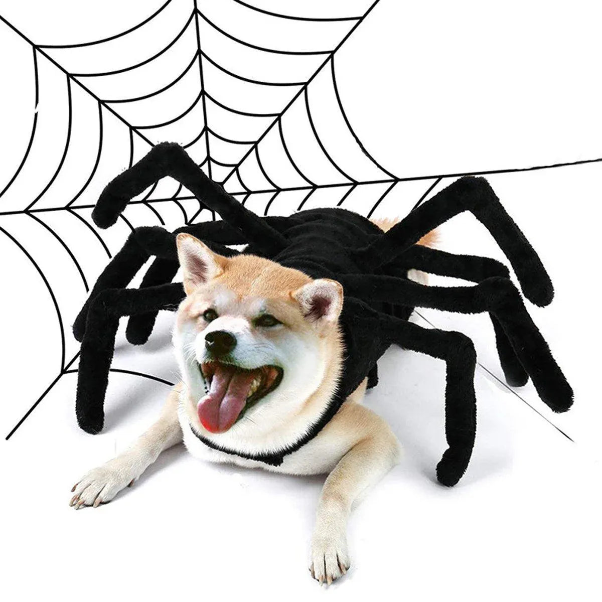 Spider Halloween Pet Costume - L – supplier product photograph 13 of 14