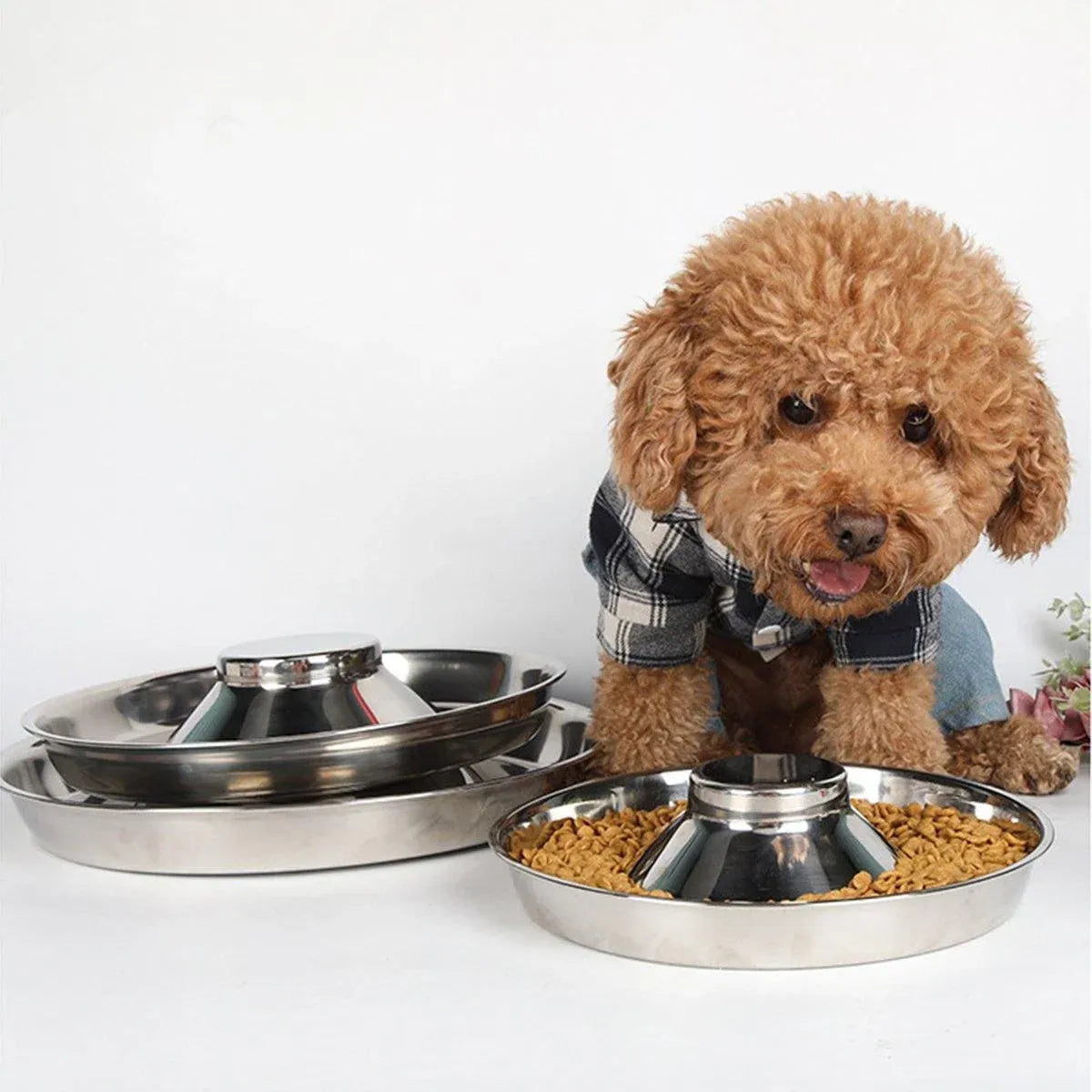 Stainless-Steel Slow-Feed Pet Bowls with Non-Slip Bases, 2-Pack, 30 cm