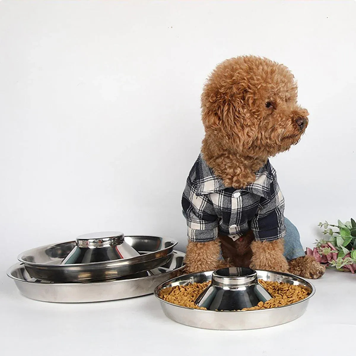 Stainless-Steel Slow-Feed Pet Bowls with Non-Slip Bases, 2-Pack, 30 cm