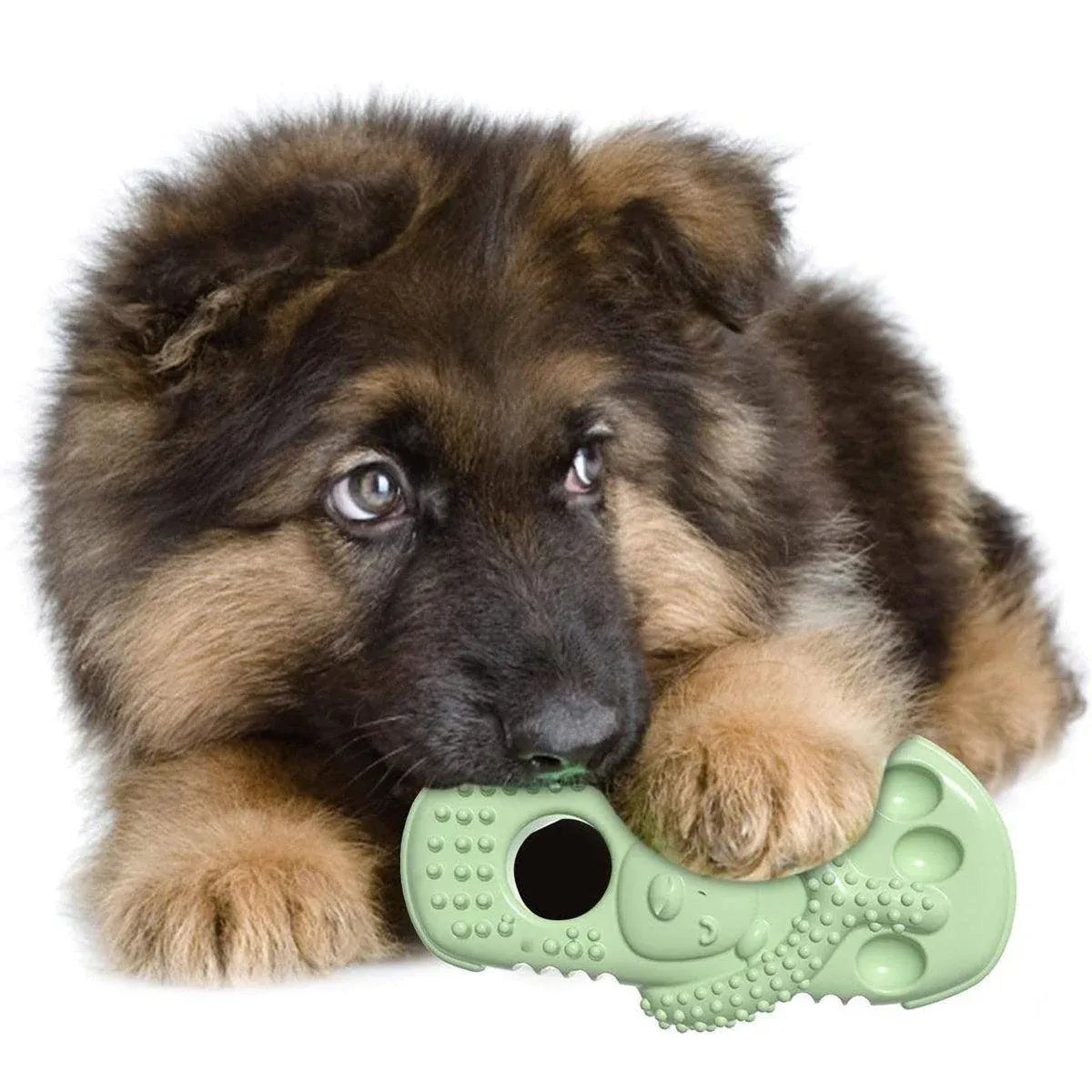 Slipper-Shaped TPR Dog Chew & Play Toy - Green, 12 × 6.2 cm