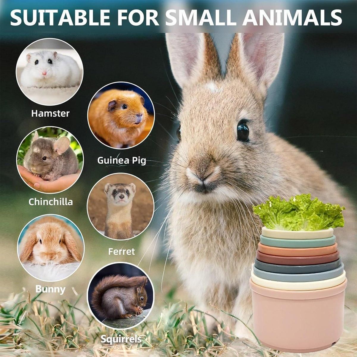 Colourful Small-Animal Nesting & Stacking Cups - 8-Piece Set