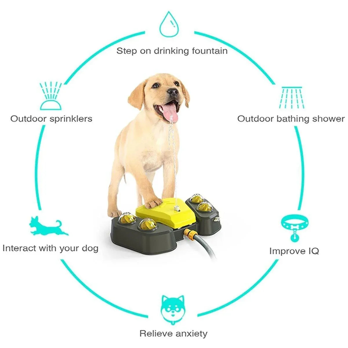 Foot-Operated Dog Drinking Fountain & Water Play Sprayer - Grey
